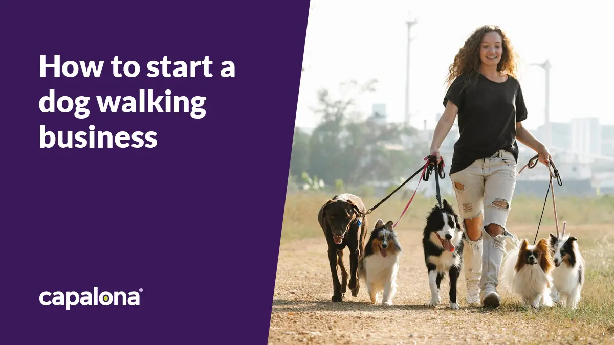 How to start a successful dog walking business image